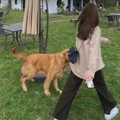 丽莎·弗兰肯斯坦